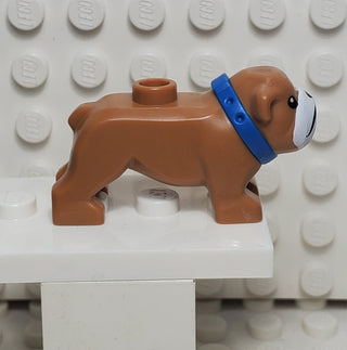 LEGO® Bulldog Blue Collar LEGO® Animals LEGO®   