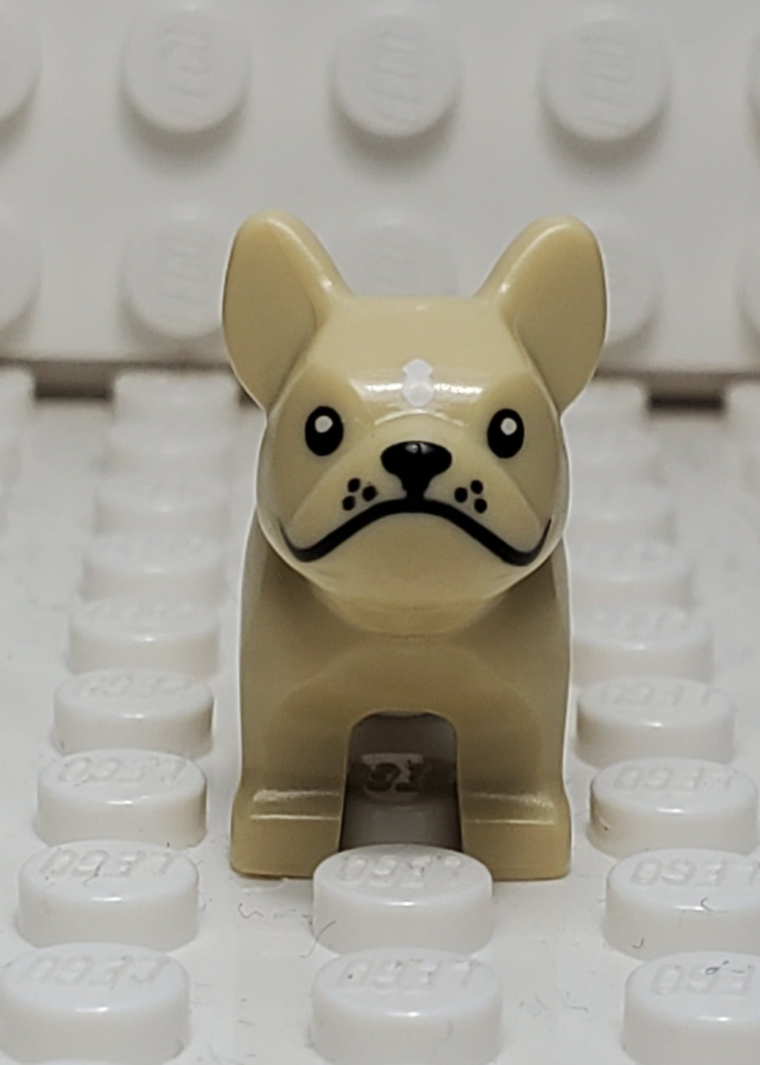 LEGO® French Bulldog