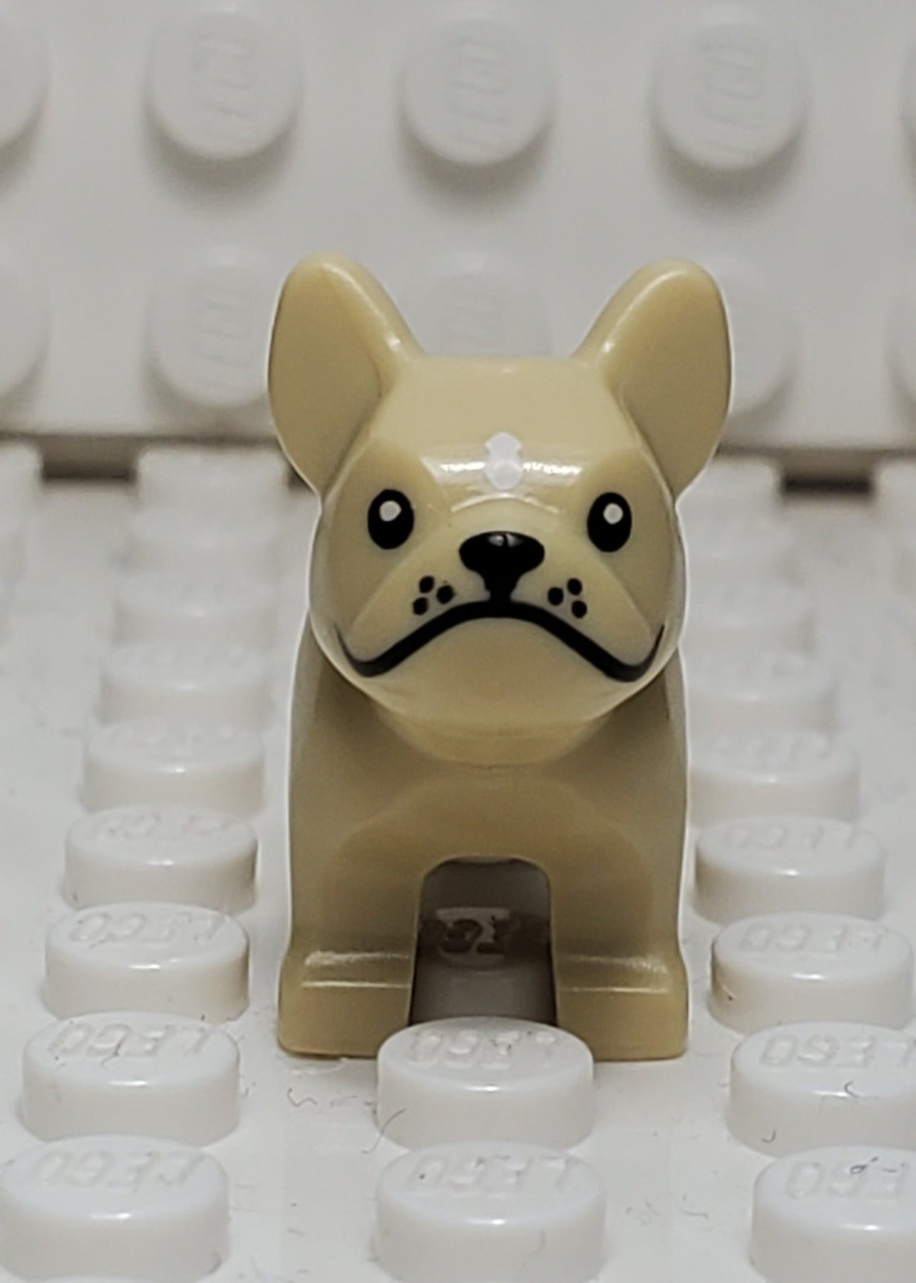 LEGO - Animal Land - Dog, French Bulldog w/ Black Eyes, Nose, Mouth, Pink  Tongue