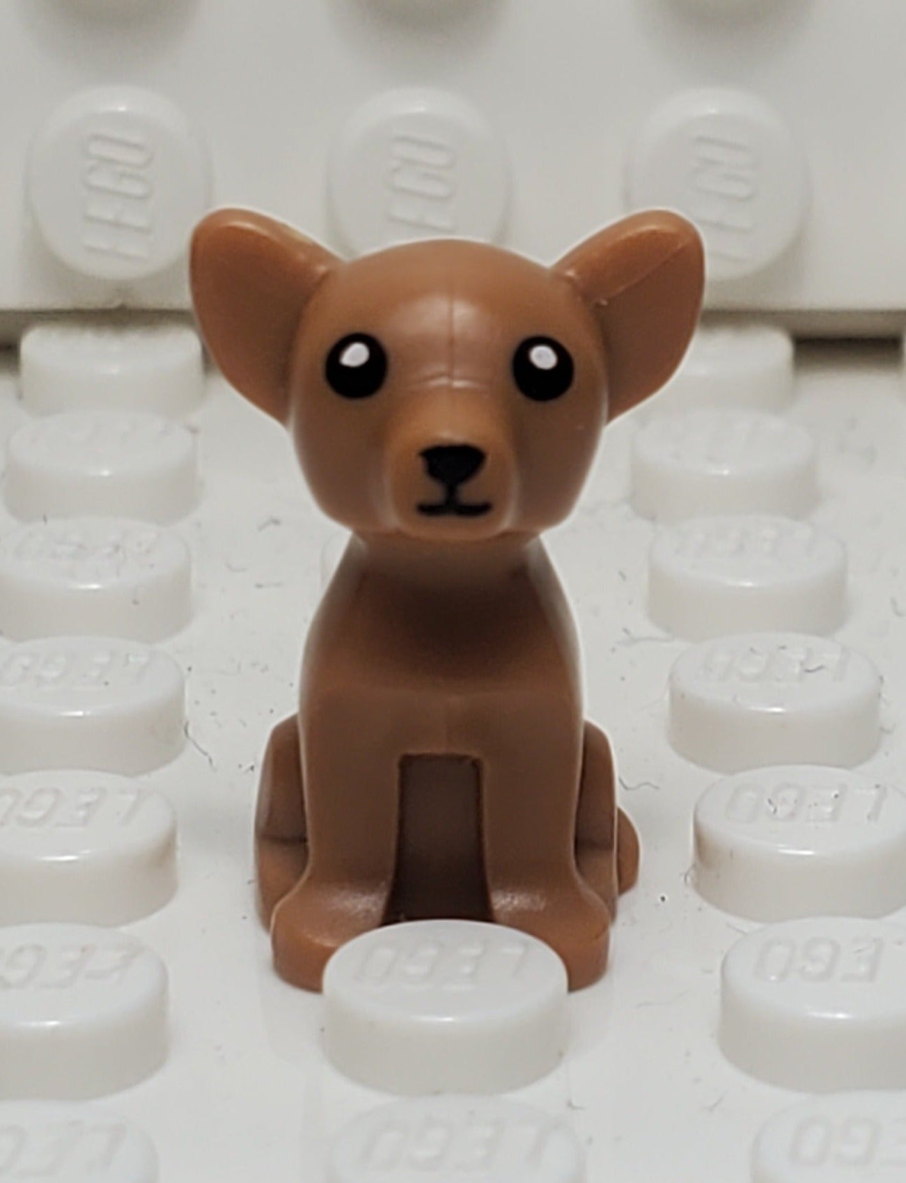 LEGO® Chihuahua – United Brick Co.