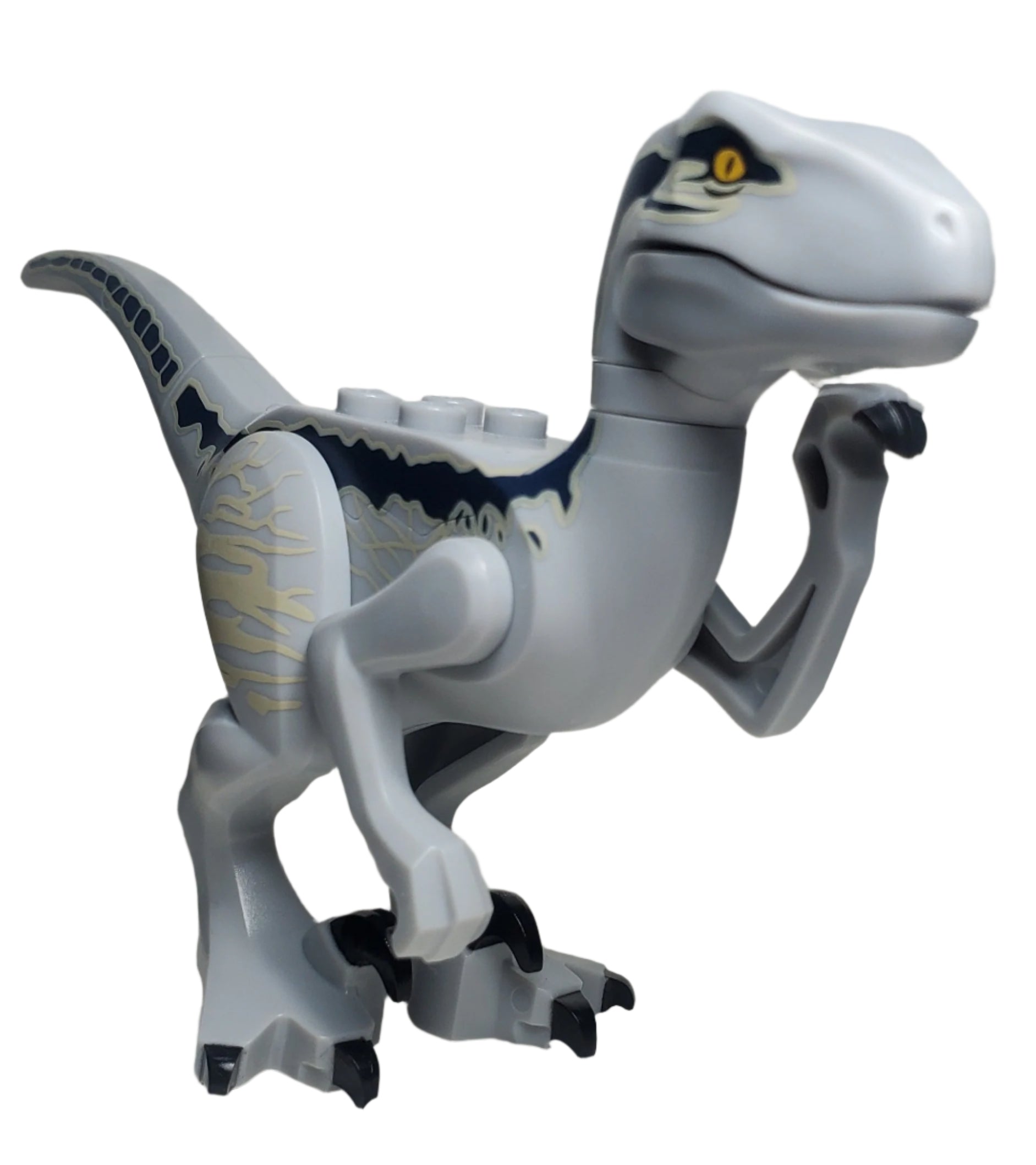 Lego Raptor Blue Coloring LEGO® Raptor/Velociraptor Dark Blue and Tan Markings (Jurassic World B ...