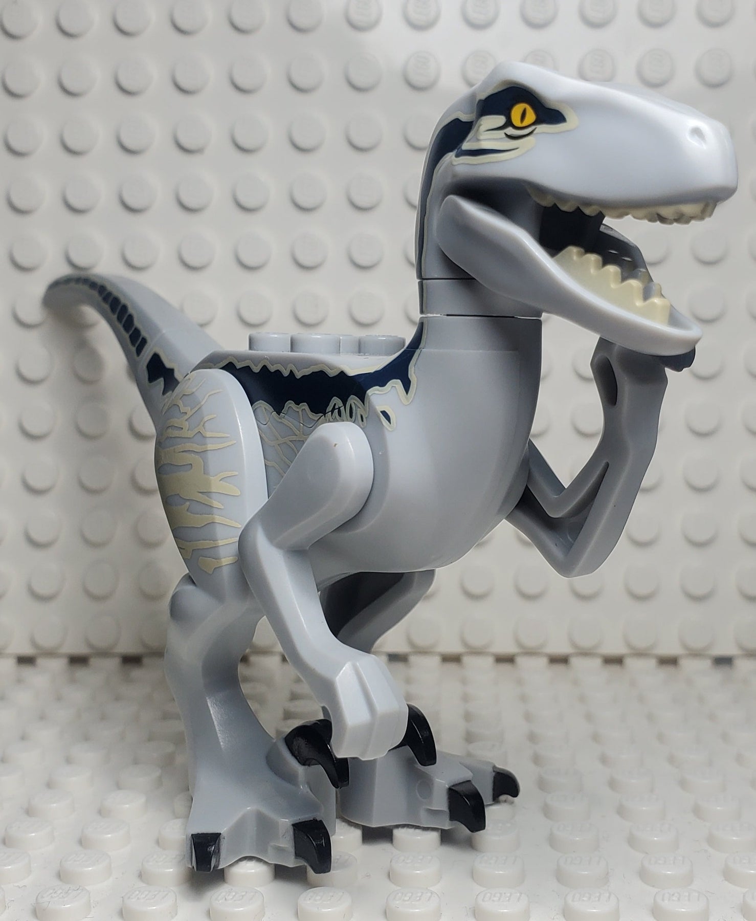 LEGO® Raptor/Velociraptor Dark Blue and Tan Markings (Jurassic World B ...