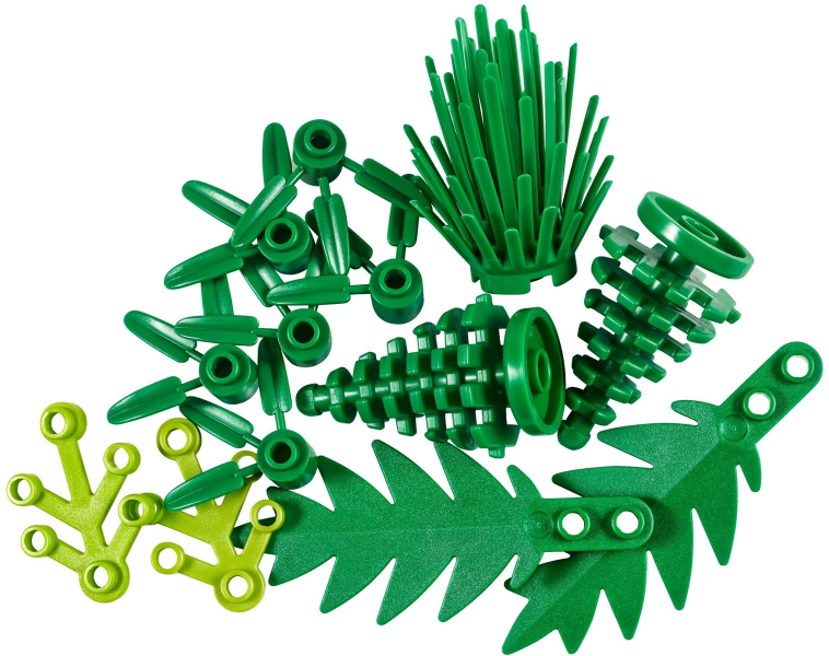Plants from Plants 40320