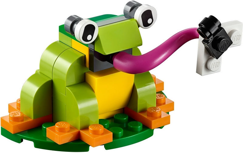 40326 Monthly Mini Build Set Frog - June