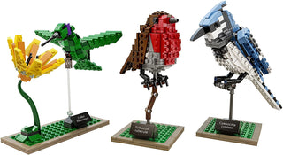 Birds, 21301 Building Kit LEGO®   