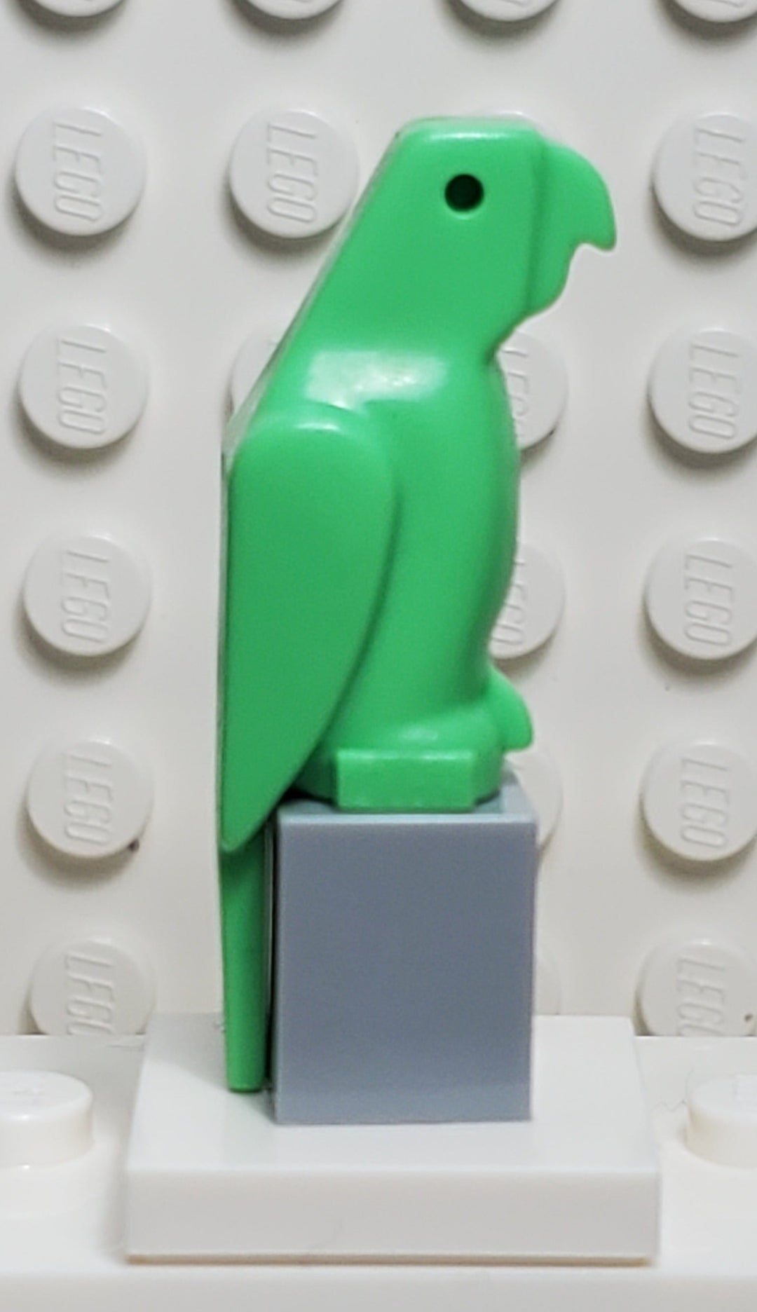 LEGO® Parrot, Small Beak