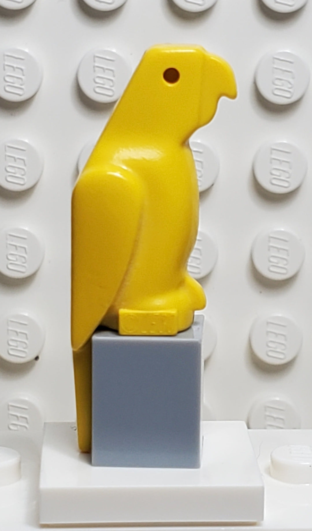 LEGO® Parrot, Small Beak