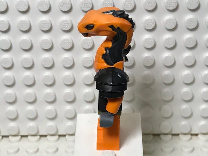 Boa Destructor, njo752