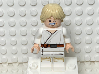 Luke Skywalker, sw1198 Minifigure LEGO® Minifigure with no accessory  