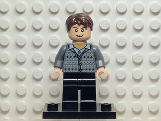 Neville Longbottom, hp129 Minifigure LEGO®   