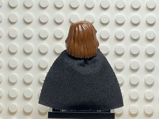 Hermione Granger, hp002 Minifigure LEGO®   