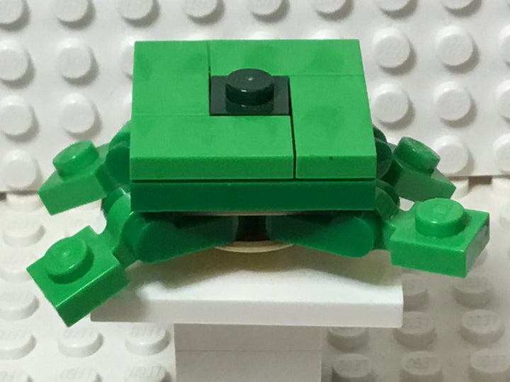 Minecraft Turtle, mineturtle01