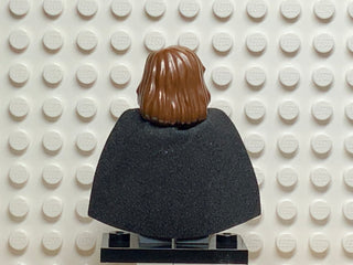 Hermione Granger, hp063 Minifigure LEGO®   
