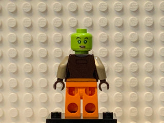 Hera Syndulla, sw0576 Minifigure LEGO®   