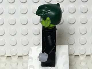 Beast Boy, dim049 Minifigure LEGO®   