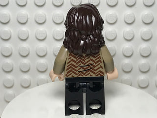 Sirius Black, hp371 Minifigure LEGO®   