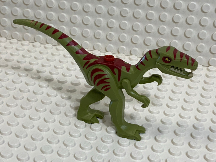 LEGO® Coelophysis Gallimimus Dinosaur LEGO® Animals LEGO® Olive Green, 98166pb02  