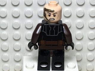 Anakin Skywalker, sw0939 Minifigure LEGO®   
