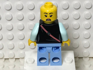 Parker L. Jackson, hs003 Minifigure LEGO®   