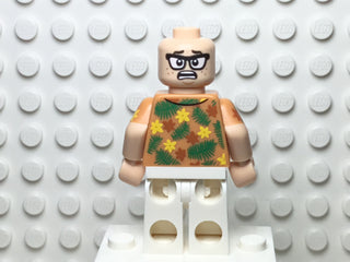 Danny Nedermeyer, jw053 Minifigure LEGO®   