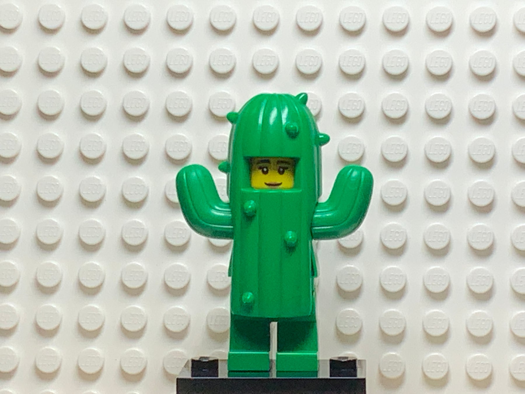 NEW LEGO CMF Collectible MINIFIGURE​​S SERIES 18 - Birthday Cactus Girl  SEALED