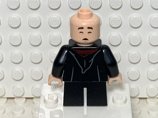Neville Longbottom, hp299 Minifigure LEGO®   