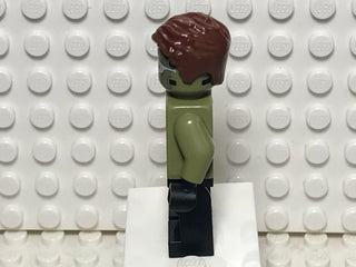 The Riddler, sh0785 Minifigure LEGO®   