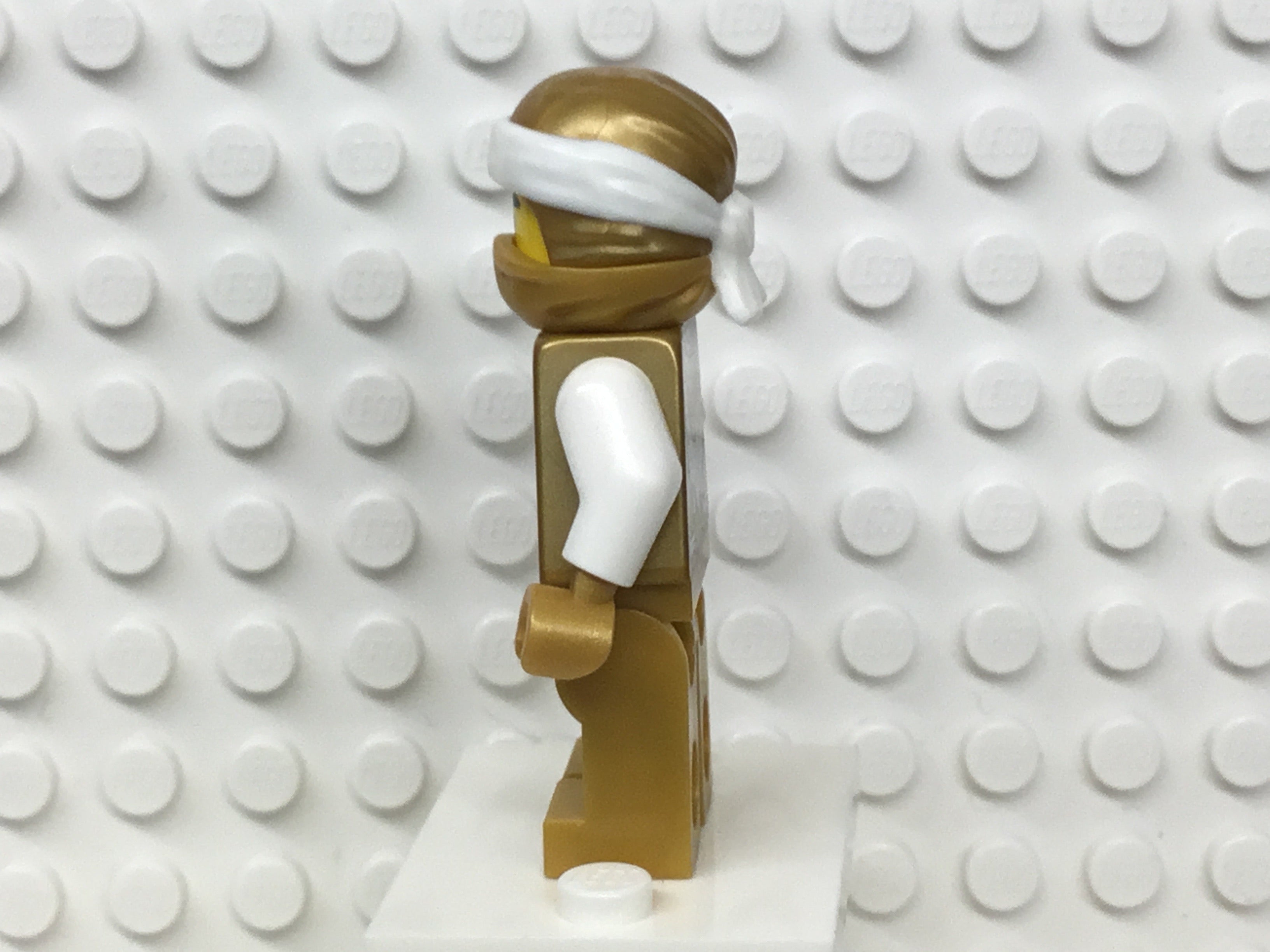 Golden Dragon Master (Sensei Wu) (Dragon Masters) Hunted