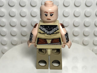 Aloy, hfw001 Minifigure LEGO®   