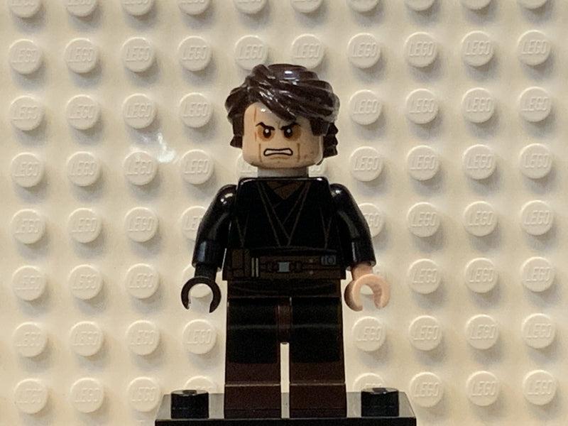 Anakin Skywalker, sw0361