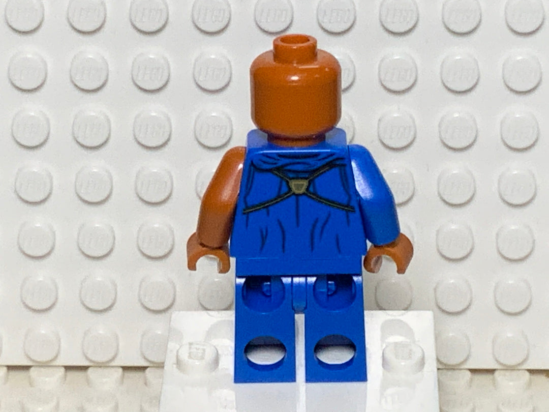 The Watcher, sh746 Minifigure LEGO®   