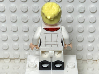 Harleen Quinzel, sh340 Minifigure LEGO®   