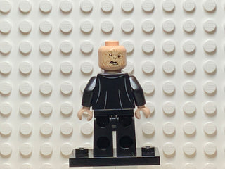 Professor Quirinus Quirrell, hp146 Minifigure LEGO®   