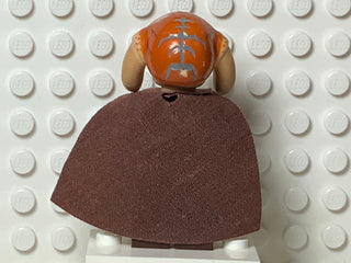 Saesee Tiin, sw0420 Minifigure LEGO®   