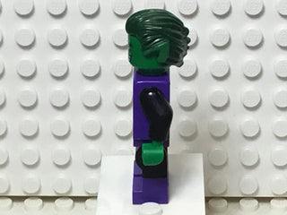 Beast Boy, sh198 Minifigure LEGO®   