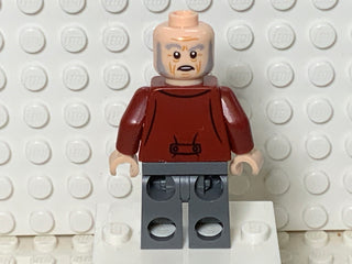 Garrick Ollivander, hp246 Minifigure LEGO®   