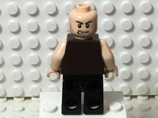 Dastan, pop017 Minifigure LEGO®   