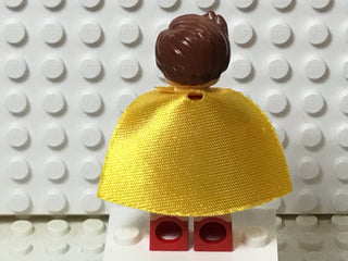 Robin, sh341 Minifigure LEGO®   