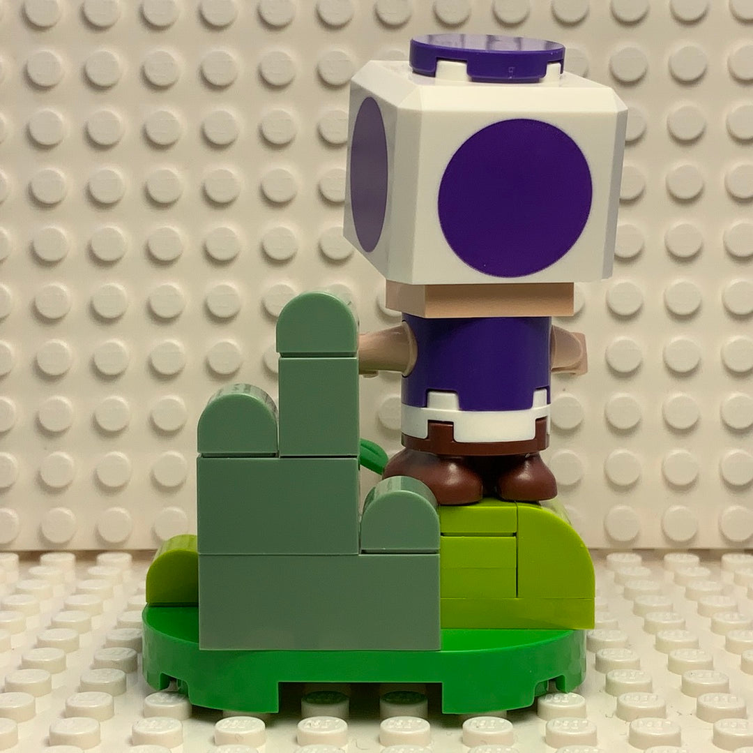 Purple Toad, char05-3