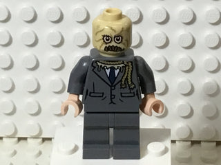 Scarecrow, sh780 Minifigure LEGO®   