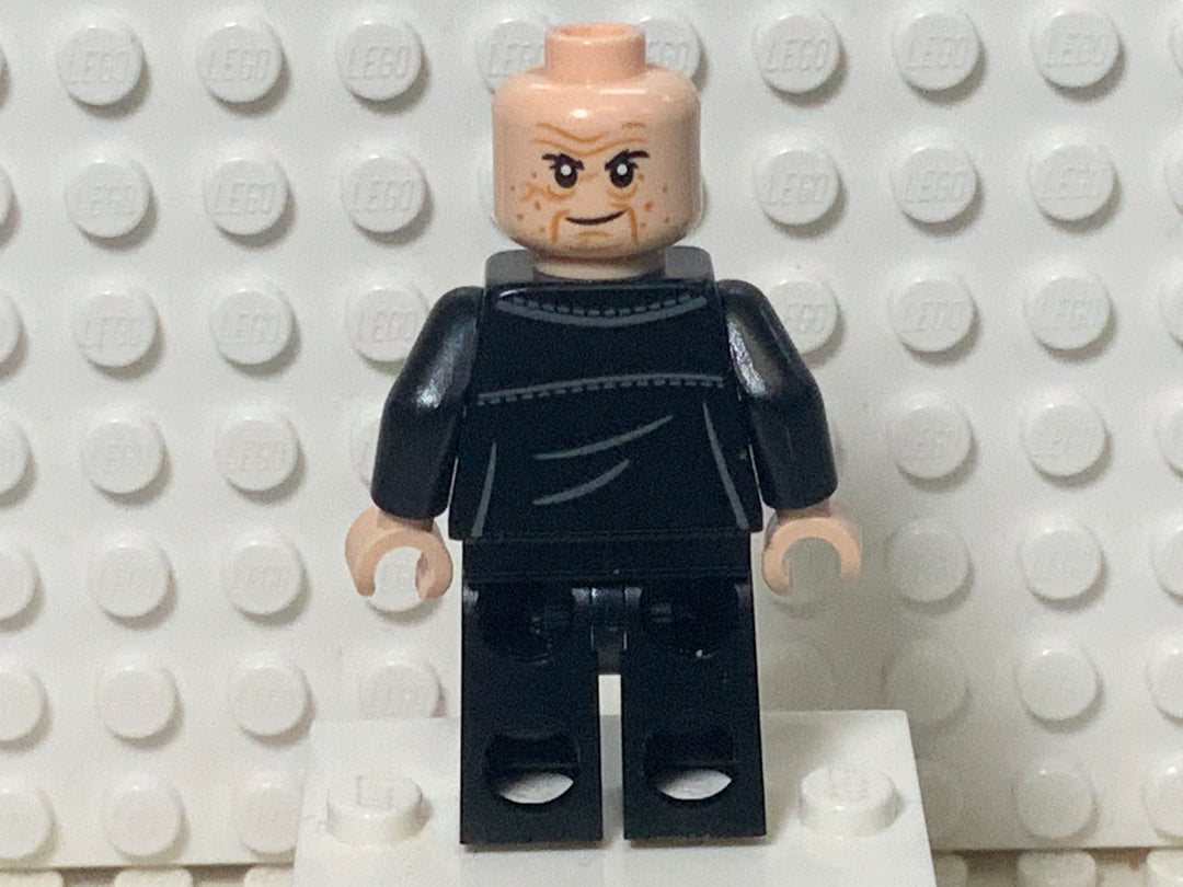 The Penguin, sh790 Minifigure LEGO®   