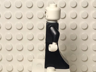 Voldemort, hp197 Minifigure LEGO®   