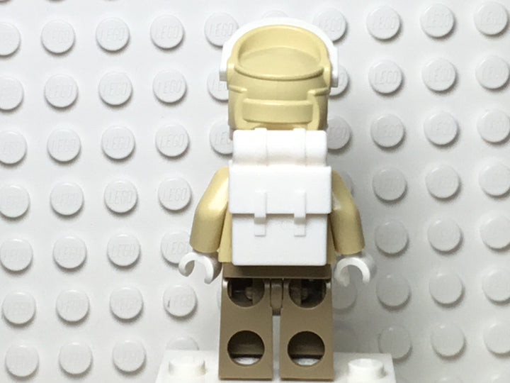 Hoth Rebel Trooper, sw0291