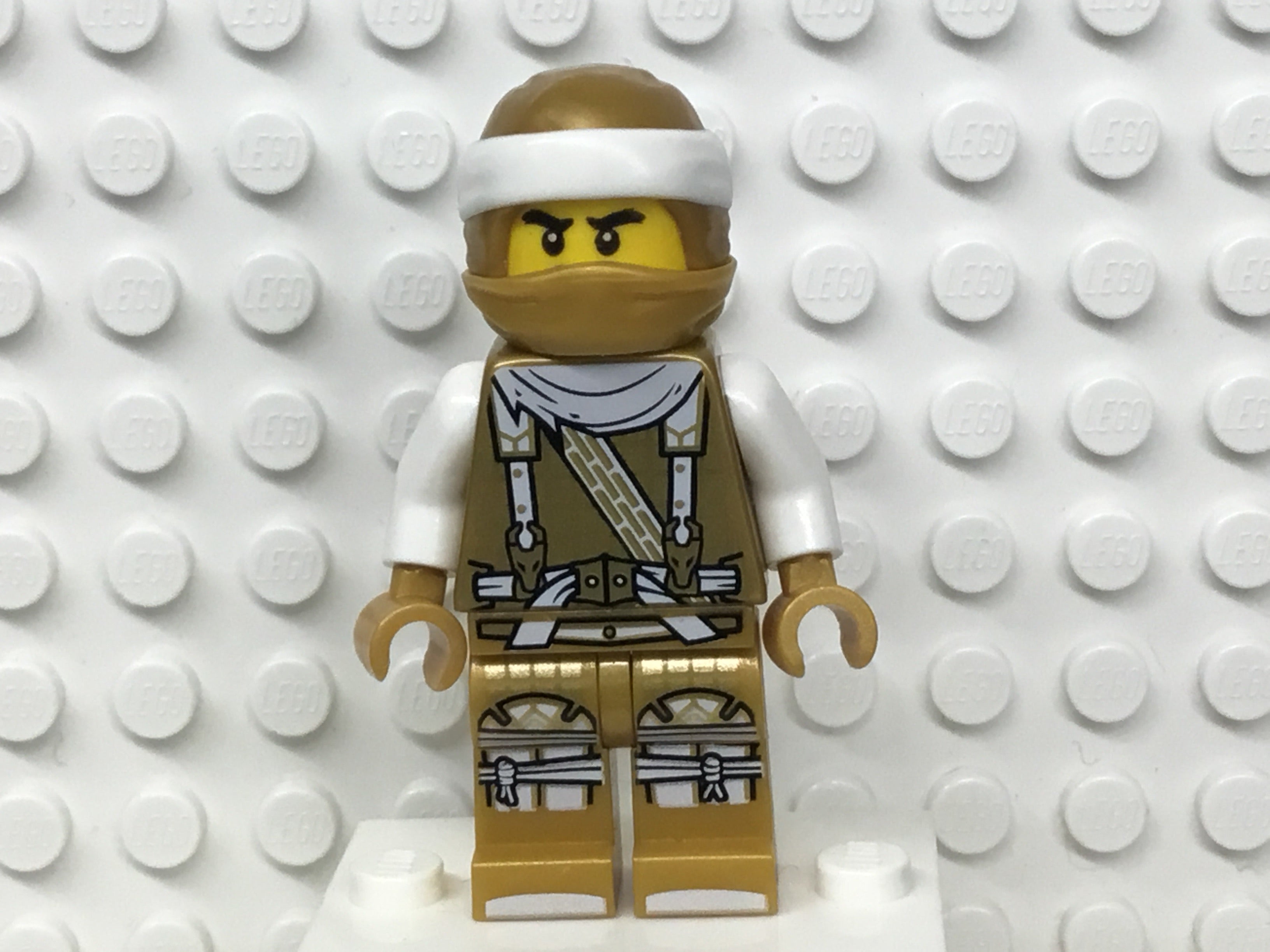 Golden Dragon Master (Sensei Wu) (Dragon Masters) Hunted