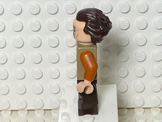 Florean Fortescue, hp244 Minifigure LEGO®   