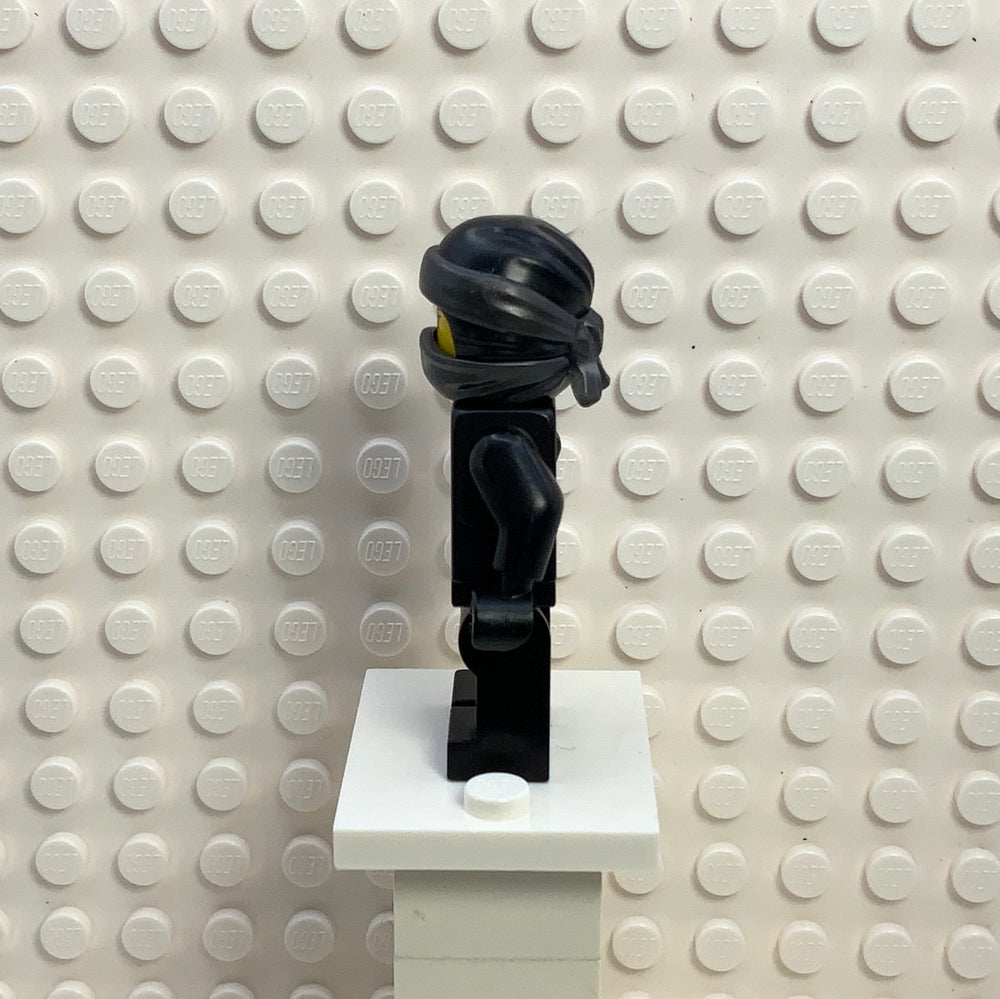 Nya (Spinjitzu Masters), njo404 Minifigure LEGO®   