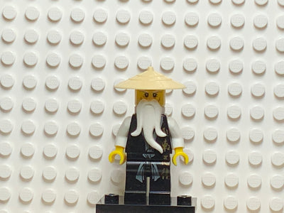 Sensei Wu, njo026