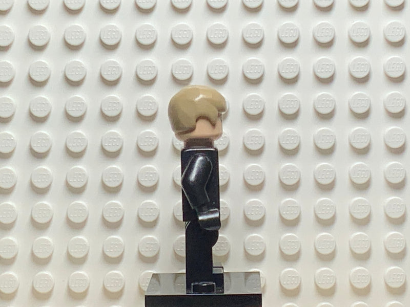 Luke Skywalker (Jedi Master, Endor, Dark Tan Hair, Smile / Open Mouth), sw0509