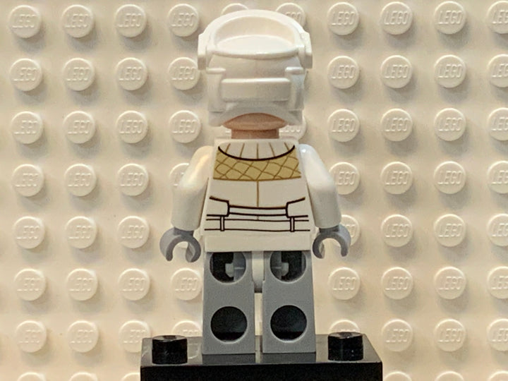 Hoth Rebel Trooper, sw0765