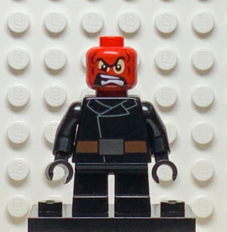 Red Skull, sh251 Minifigure LEGO®   